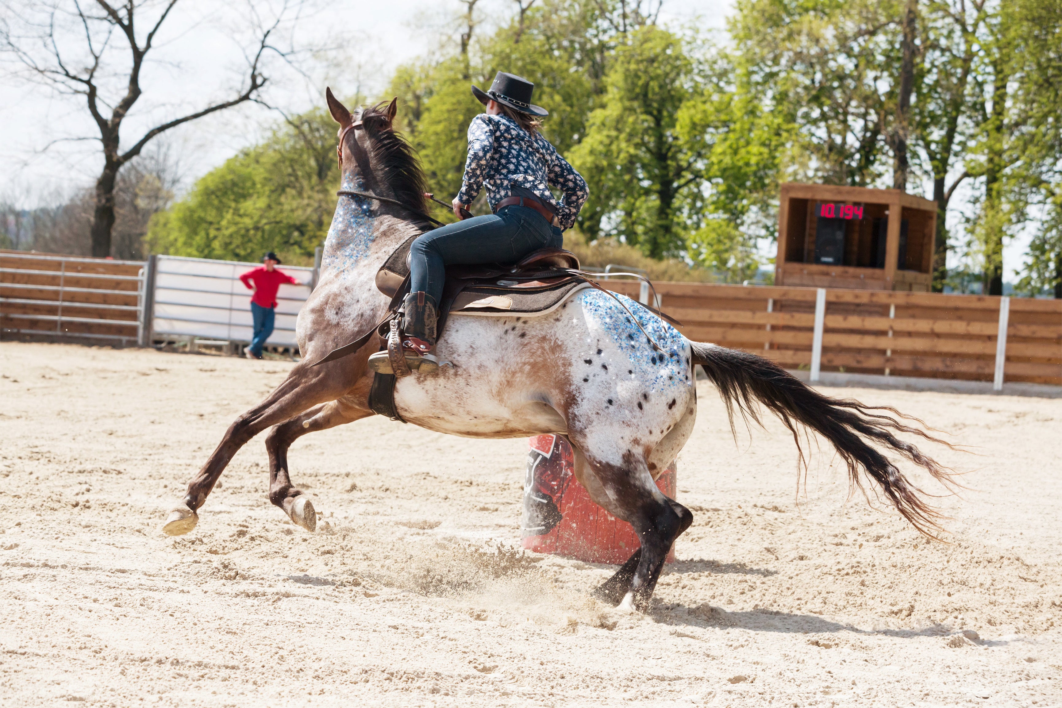 Glittering Elegance: Adding Sparkle to Your Equine Lifestyle
