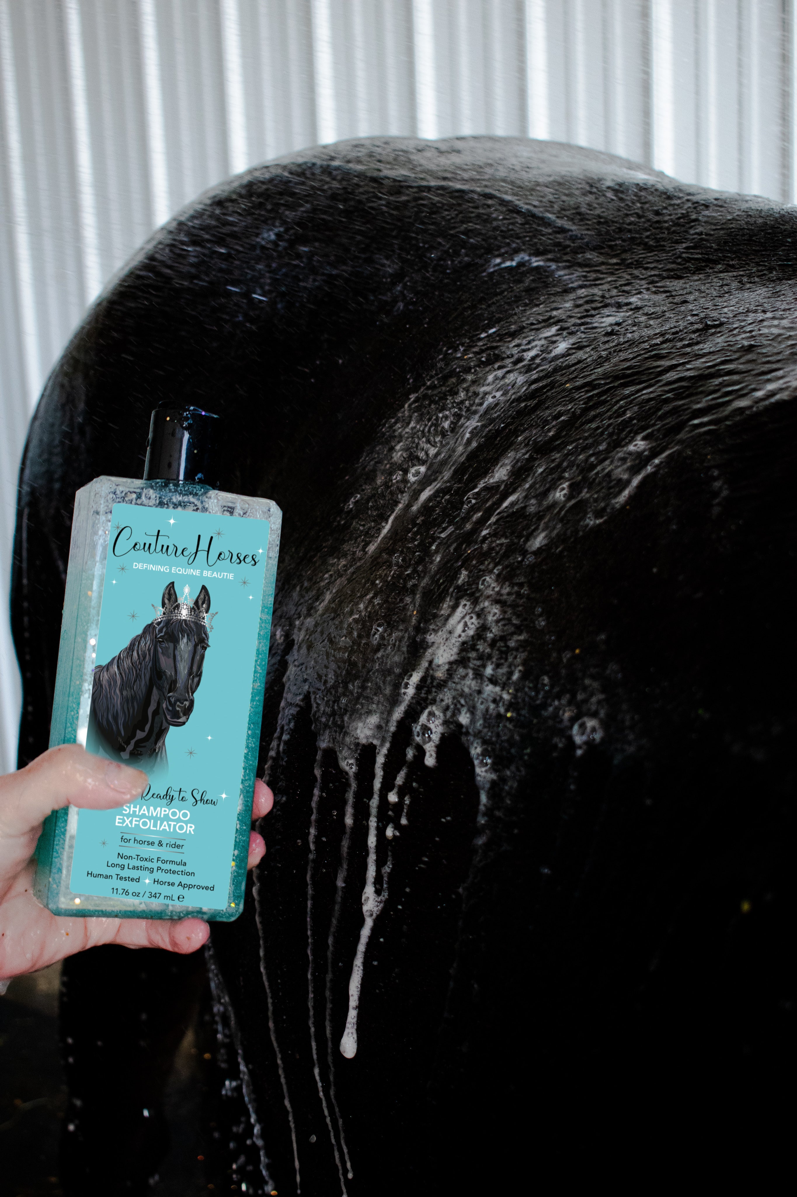 Polished and Ready to Show Shampoo and Exfoliator