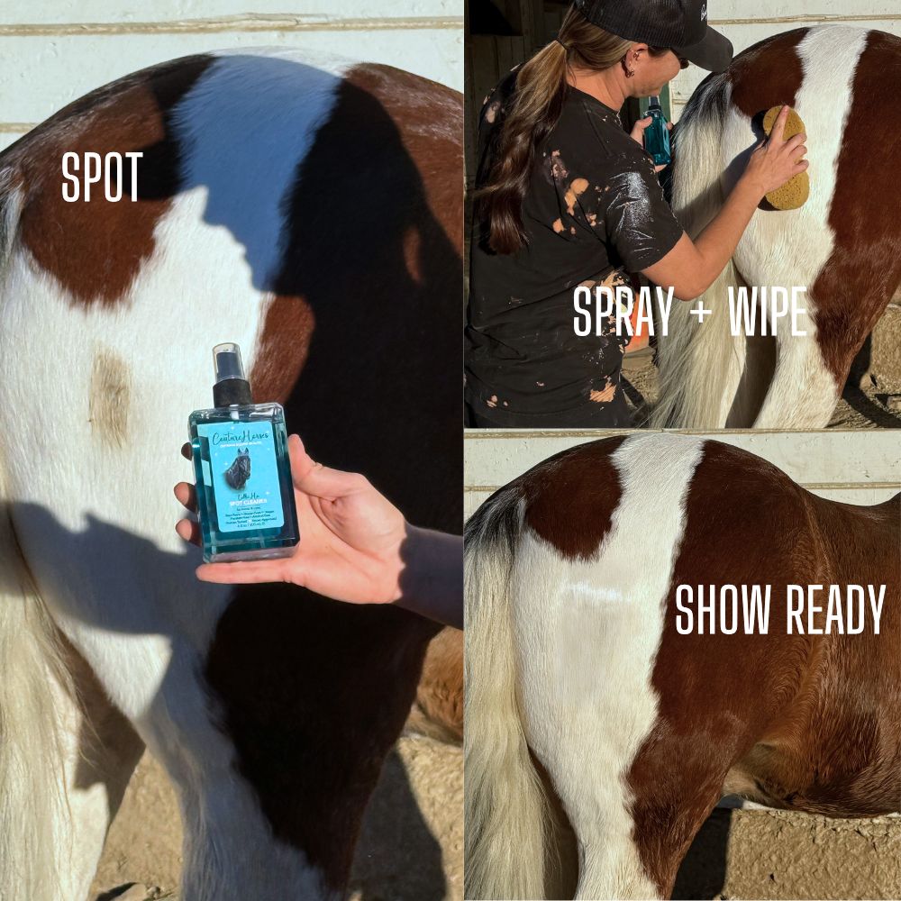 Tallie Ho Spot Cleaner