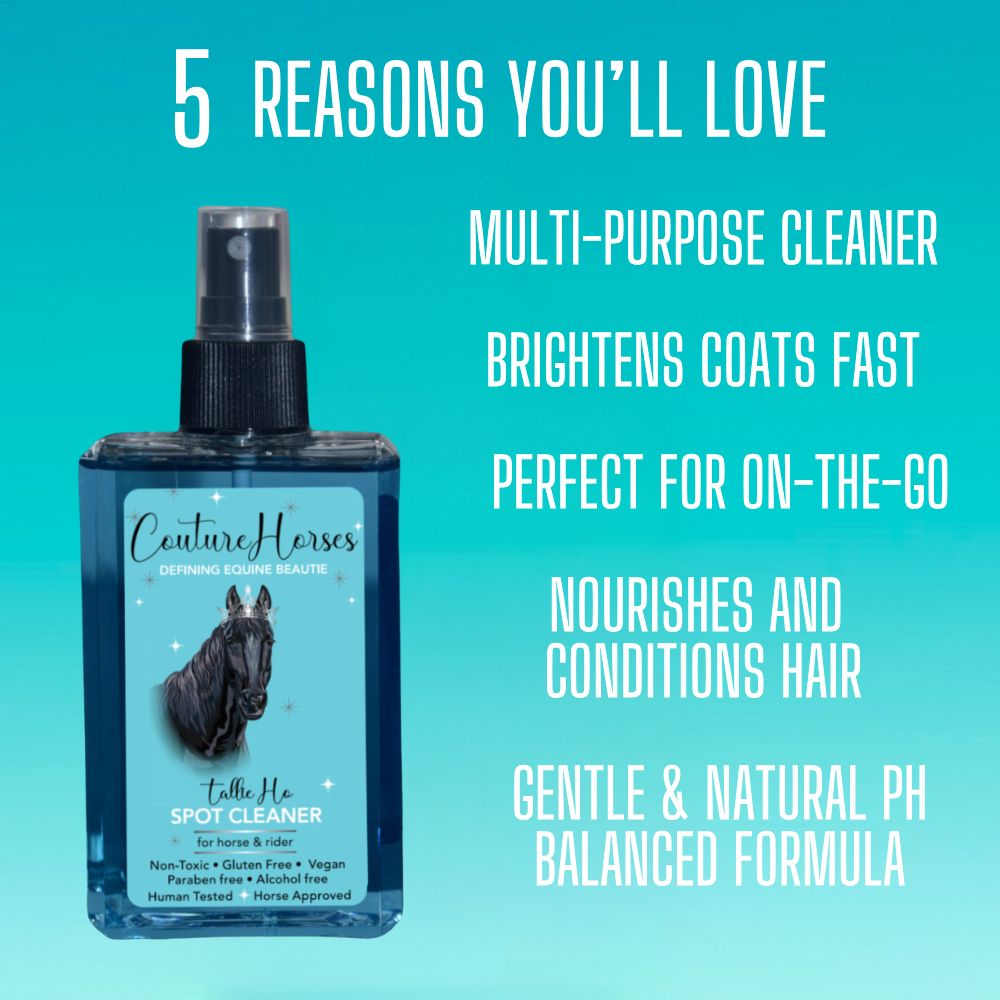 Tallie Ho Spot Cleaner